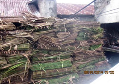 Nipa palm fronds for roofing material in Arbuela